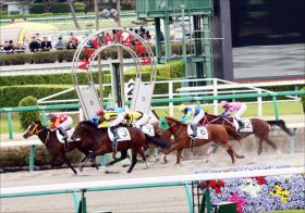 JRA 順調ならJBCクラシック「優勝候補」!? テーオーケインズ、ダノンファラオ圧倒した「G1級」快速馬の衝撃的過ぎた末路