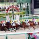 JRA今「C.ルメール切り」が熱い!? 先週も単勝20倍の推奨馬が快勝で万馬券! 今週の高額万馬券狙いレースはコレだ!