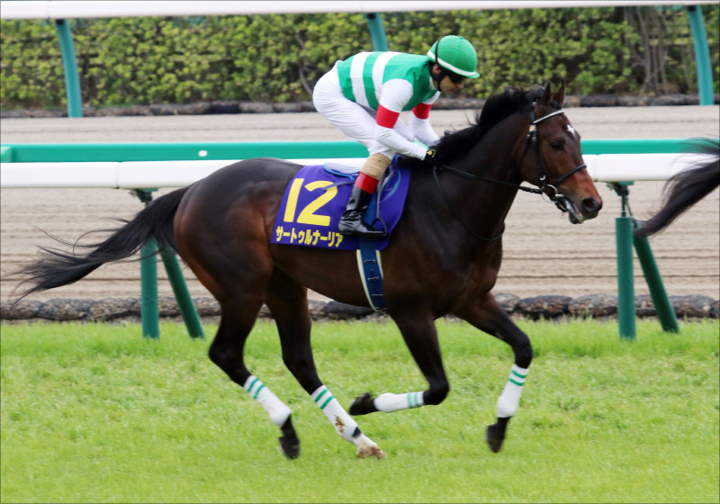 【2020年JRA最速展望】サートゥルナーリアVSアーモンドアイ続く? 「中距離路線・長距離路線・古馬牝馬路線」の画像2