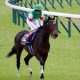 JRA宝塚記念(G1)超豪華「G1馬8頭」集結も「アノ馬」の不在に嘆きの声!? G1馬「資格十分」も“悲願”の舞台に立てずか