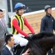 JRA【秋華賞(G1)展望】デアリングタクトが史上初「無敗牝馬3冠」へ! 前哨戦“圧勝”のリアアメリアには凡走フラグ……?