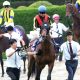 JRA有馬記念(G1)「超絶サイン」レイデオロが該当……鞍上問題はいつ解決?