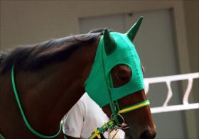 武豊「お前、自分が誰だか分かっているのか？」、蛯名正義に転売ヤーも本人特定!?　エアグルーヴ×ベガの「大コケ」にガッカリ!? 【週末GJ人気記事総まとめ】