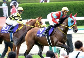 JRAモズアスコットに続け！「凱旋門賞」挑戦馬クリンチャーに「復活」の兆し!?