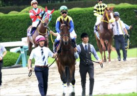 武豊マカヒキ「1年ぶりの雪辱」天皇賞・秋「復活」の複数条件は