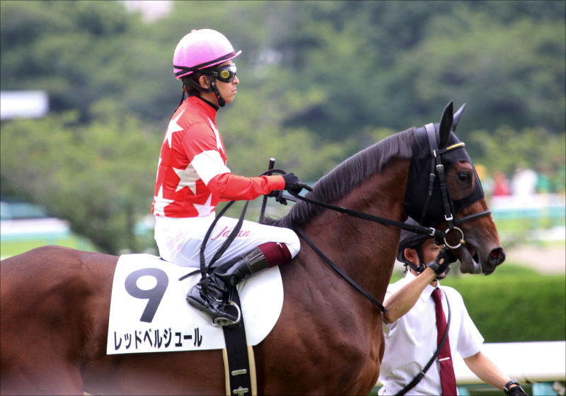 JRA福永祐一「期待通り」ディープインパクト産駒レッドベルオーブ「超速レコード」で圧勝！ ダービー馬コントレイルに通ずる血統はクラシックへの布石かの画像2