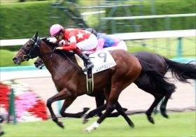 JRA朝日杯FS（G1）武豊→スミヨンはどう!?　レッドベルジュールの可能性