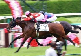 JRA驚異の勝ち上がり率“95%”！ディープインパクトの“超ニックス”配合、レッドベルオーブが土曜新潟で初陣！