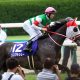 JRA有馬記念(G1)リスグラシュー×レーン騎手で名誉挽回!? 16年ぶり「特例」も思い出される「日本ダービー1番人気」の悪夢