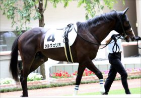 JRAシルヴェリオ若駒Sは「2番人気が強い」！ 血統・実績上位のラインベックに一泡吹かせるのはこの馬か？