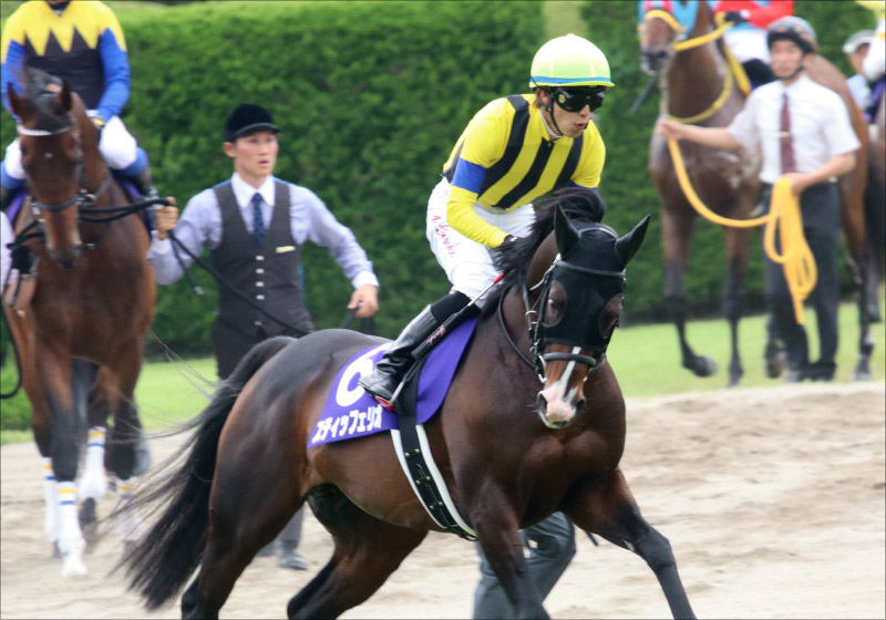 【AJCC(G2)展望】川田ブラストワンピース「逆襲の2020」堂々の始動! ミッキースワロー&スティッフェリオら中山巧者に魅力の画像4