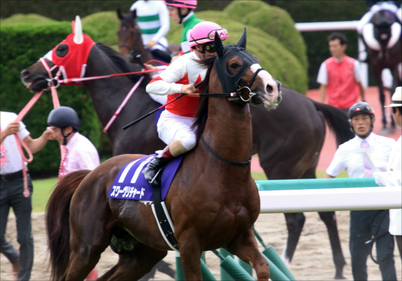 JRA天皇賞・秋(G1)アーモンドアイから「超確信の三単4点」勝負! サートゥルナーリアに「黄信号」情報!?の画像2