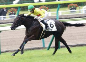 JRA藤田菜七子が狙い！ 今週の高額万馬券狙いレースはコレだ！