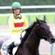 JRA「コパノキッキング×武豊」まさかの敗戦で最大目標に“黄色信号”!? JBCスプリント(G1)はアノ騎手が再浮上か