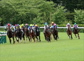 JRA「俺たちは強い！」有馬記念（G1）チーム・タイトルホルダー気合十分!? 珍名馬の由来はバスケ漫画『SLAM DUNK』ではなく…