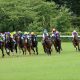 JRA三冠馬コントレイル「屈辱」のベスト10落ち!? 有馬記念(G1)ファン投票、エフフォーリアVSクロノジェネシスも「競馬ファンの気持ち」は、すでに…?