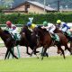 JRA「ここのところの私は…本当にちょっと怖い」あの“逆神“ピン芸人がラジオNIKKEI賞(G3)で万馬券的中報告!