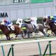 JBCスプリント(G1)藤田菜七子「忙しかった」コパノキッキングまさかの見せ場なし! G1制覇に大きな課題も……昨年クビ差のリベンジならず
