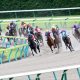 反則級「マル外」地方馬が約20馬身差の圧勝デビュー! 地方の怪物爆誕の裏に“異端”一口馬主クラブの先見の明