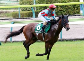 JRA「逃亡劇」に終止符！マルターズアポジー「あの騎手」とラストラン！