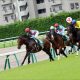 JRA中山記念（G2）「忘れられたG1・2勝馬」ソウルスターリングを軽視できない理由