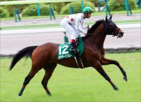 JRA日経賞(G2)ミッキースワローと横山典弘騎手は、菊沢隆徳厩舎を前走の悪夢から救うことができるのか？