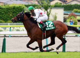 【日経賞（G2）展望】ミッキースワローVSモズベッロ！ 春のG1戦線見据え、素質馬が激突！