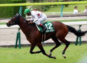 JRA・AJCC（G2）不安要素は横山典弘への乗り替わり？　ミッキースワローが得意舞台に登場も立ちはだかる“2つの壁”