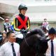 JRA【カペラS(G3)展望】「個性派逃亡者」モズスーパーフレア引退レース!有終の美へ、相手は初スプリント「キレッキレ」の追い込み馬!