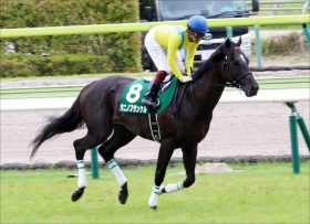 JRA 小倉記念（G3）角居勝彦厩舎“ウオッカの仔”タニノフランケル激走の鍵は『やる気スイッチ』!?