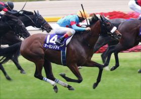 JRA天皇賞・秋（G1）アーモンドアイ「8冠忖度」にガッカリ……!? 「ノーザン系」サリオス、サートゥルナーリア相次ぐ回避で問われる大記録の価値