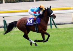 JRA「8冠」狙うアーモンドアイも血の宿命からは逃れられない!? 天皇賞・秋（G1）の復帰を危惧する声も……