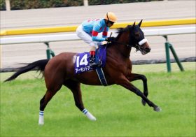 JRA有馬記念（G1）「牝馬の呪い」アーモンドアイは負ける……ウオッカ、ブエナビスタも「餌食」に!?