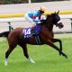 JRA大本命アーモンドアイ8冠に黄色信号!? 安田記念(G1)「単勝1倍台」敗北の歴史と、過去の傾向から浮かび上がるアノ馬!