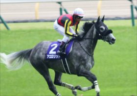 JRA天皇賞・秋（G1）「美浦独占情報」アエロリット、ウインブライトに「気になる」情報が……