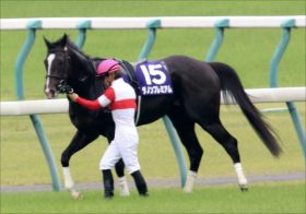 JRA安田記念（G1）ダノンプレミアム昨年“タックル被害”のリベンジへ！ 海外遠征、D.レーン効果で「リスグラシュー化」なるか