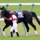 JRA「超豪華G1」に馬主から悲鳴!? 安田記念(G1)アーモンドアイら「G1馬10頭」集結も、回避馬続々……