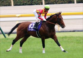 JRAマイラーズC（G2）「大物食い」がインディチャンプ撃破!? 「右回りなら」フィアーノロマーノ充実一途！