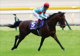 JRA福永祐一インディチャンプ「黄色信号」でスプリンターズS（G1）出走危機!? マイル王の初1200m挑戦は見送りか