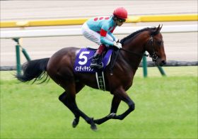 JRA安田記念（G1）“後味の悪い”前年王者インディチャンプは「今が最盛期」!? “準備万全”アーモンドアイ撃破で最強マイル王へ