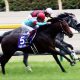 JRA松田国英、角居勝彦、石坂正調教師など今週で引退する調教師8名の「今週の勝負馬」名伯楽の最終章に武豊も騎乗!
