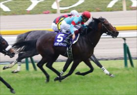 JRA「マイル王」インディチャンプ中山記念（G2）へ“異次元”リハ！ フェブラリーS有力馬サンライズノヴァ置き去り……