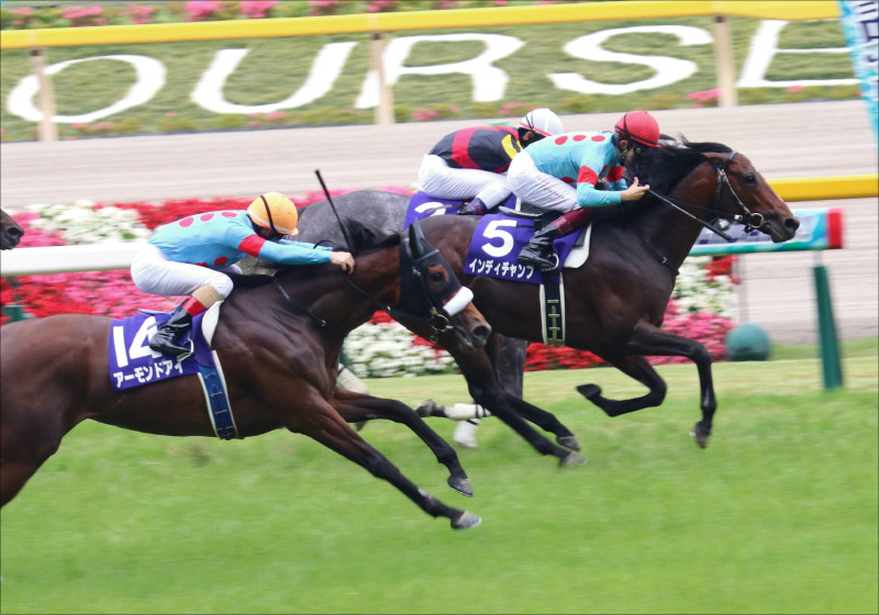 JRA大本命アーモンドアイ8冠に黄色信号!? 安田記念(G1)「単勝1倍台」敗北の歴史と、過去の傾向から浮かび上がるアノ馬!の画像2