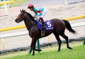 JRA安田記念（G1）インディチャンプは余裕の消し！ VSアーモンドアイの「爆穴」投入!? 「緻密な馬場読み」こそが勝利への最短ルート