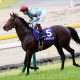 JRA安田記念(G1)グランアレグリアを「ワープ」させた『みんなのKEIBA』に批判殺到!? 大本命アーモンドアイ「大写し」の結果敗戦……6年前「ハープスター事件」の悪夢再び
