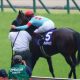 JRA「G1上り最速馬」グランレイ! きさらぎ賞(G3)京都の馬場も味方する!?