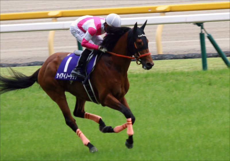 JRA80万超え馬券も飛び出した「大荒れの夏競馬」で一攫千金を狙え! ギルデッドミラー&プリンスリターン3歳勢が躍進? 迷えるG1馬が波乱の立役者に!?【中京記念(G3)展望】の画像2