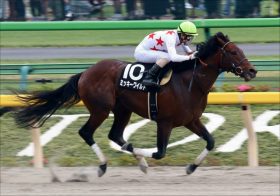 JRA根岸S（G3）『代打の神様』が試合を決める!? ミッキーワイルド庭の府中で弾けるか!?