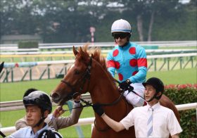 JRAシルク「無双」の新馬7連勝！ 超怪物リアアメリアから無傷で競馬界の新支配者に