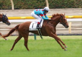 【新潟2歳S（G3）展望】JRA「素質馬」が続々と集結！　来年のクラシックを占う激戦を制するのは？